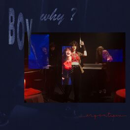 Album cover of Boy why?