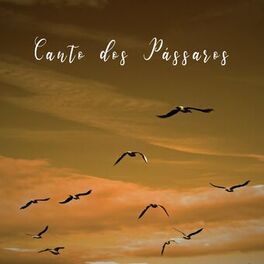 Album cover of Canto dos Pássaros