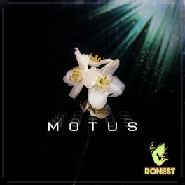 Album cover of Motus