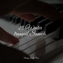 Album cover of 25 Winter tranquil Sounds