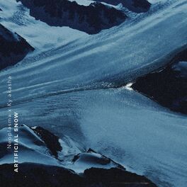 Album cover of Artificial Snow