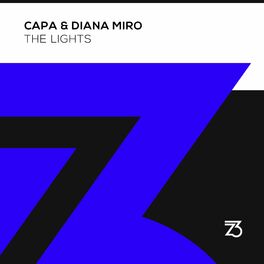 Album cover of The Lights