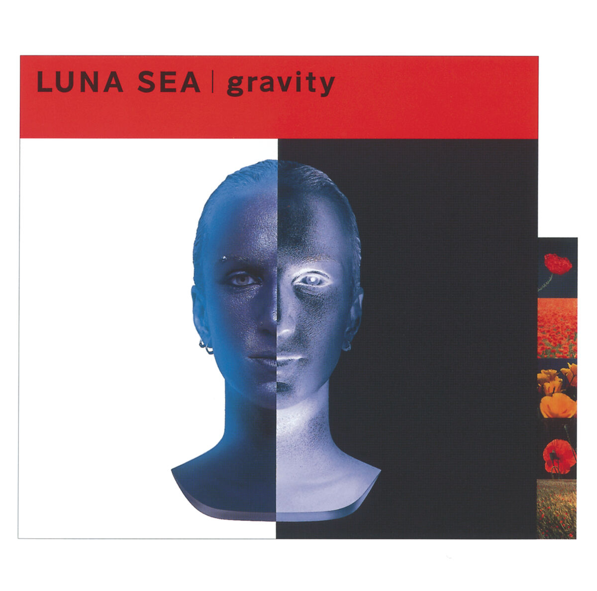 luna sea gravity カバー