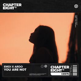 Album cover of You Are Not