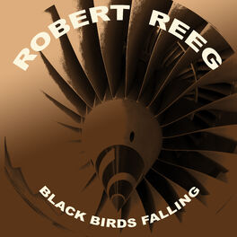 Album cover of Black Birds Falling