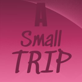 Album cover of A Small Trip