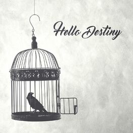 Album cover of Hello Destiny