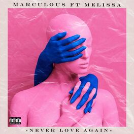 Album cover of Never Love Again