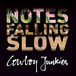 Album cover of Notes Falling Slow