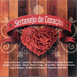 Album cover of Sertanejo De Coração