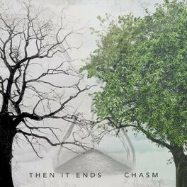 Album cover of Chasm