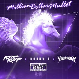 Album cover of Million Dollar Mullet (ChopNotSlop Remix)