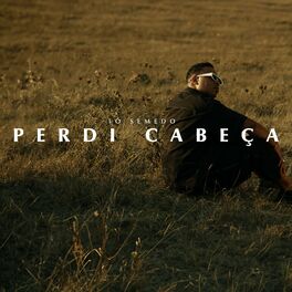 Album cover of Perdi Cabeça