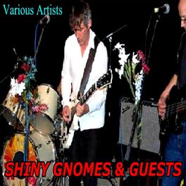 Album cover of Shiny Gnomes & Guests