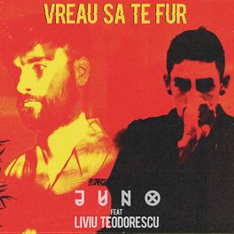 Album cover of Vreau Sa Te Fur