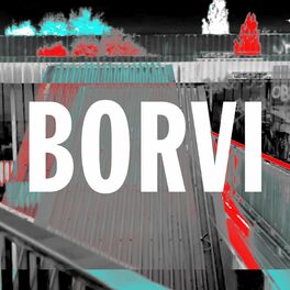Album cover of BORVI