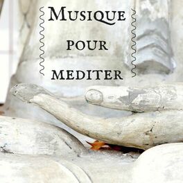 Album cover of Musique pour mediter, massage, jardin zen japonais, spa Narbonne