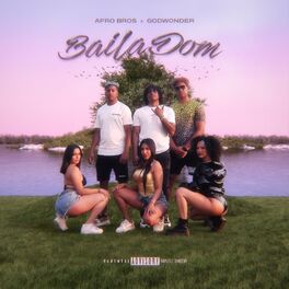 Album cover of Baila Dom