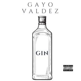 Album picture of Gin