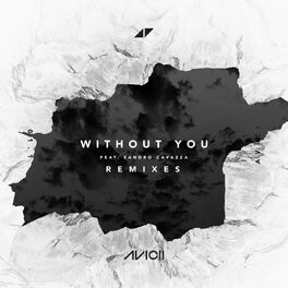 Album cover of Without You (Remixes)