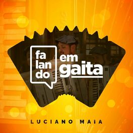 Album cover of Falando em Gaita