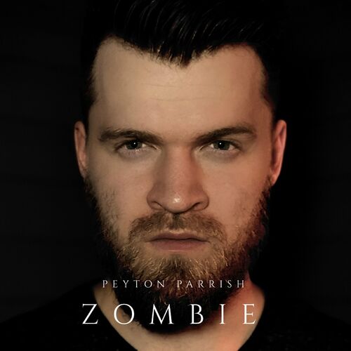 Colm R. McGuinness – Zombie Lyrics