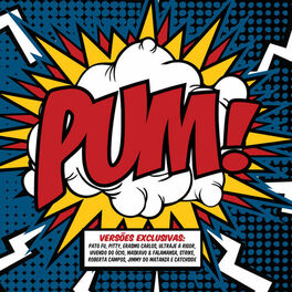 Album cover of Pum! 2011