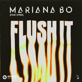 Album cover of Flush It (feat. STRIO)