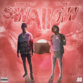 Album cover of Swallow (feat. YN Jay)