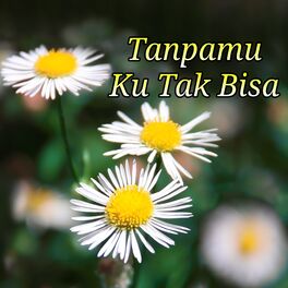 Album cover of Tanpamu Ku Tak Bisa