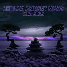Album cover of Chillax Ambient Music Mix 2022