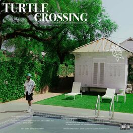 Album cover of Turtle Crossing