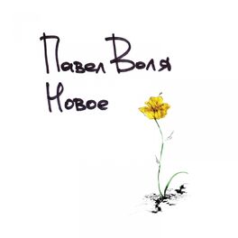 Album cover of Новое