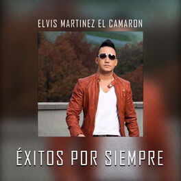 Album cover of Éxitos por Siempre