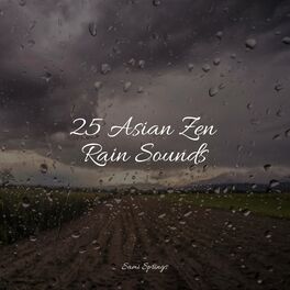 Album cover of 25 Asian Zen Rain Sounds