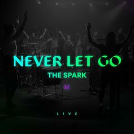 Album cover of Never Let Go (Live)
