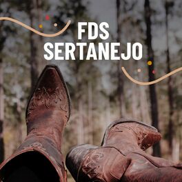 Album cover of FDS Sertanejo
