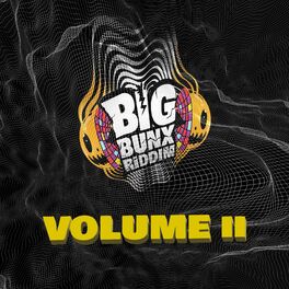 Album cover of Big Bunx Riddim, Vol. 2