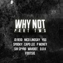 Album cover of Why Not, Pt. 2