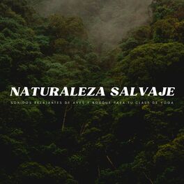 Album cover of Naturaleza Salvaje: Sonidos Relajantes De Aves y Bosque Para Tu Clase De Yoga