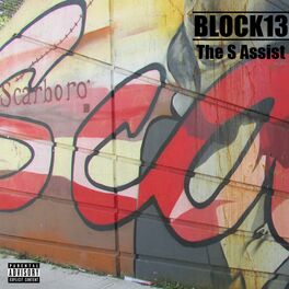 Album cover of The S Assist (feat. Sheldon & Smalla Bigz)