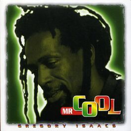 Album cover of Mr. Cool