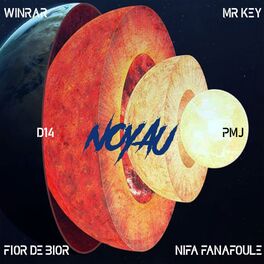 Album cover of Noyau