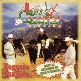 Album cover of Negocio Cuajado