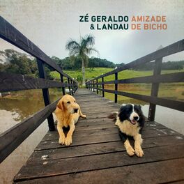 Album cover of Amizade de Bicho