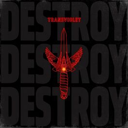 Album cover of Destroy Destroy Destroy
