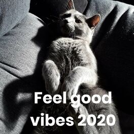 Album cover of Feel good vibes 2020