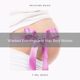 Album cover of 1 Wanted Evenings and Nap Best Noises