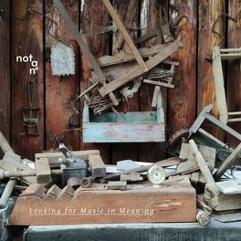 Album cover of Looking for Music in Meaning