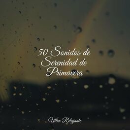 Album cover of 50 Sonidos de Serenidad de Primavera